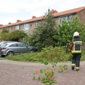 Tak van boom gewaaid Gouderegenstraat Noordwijk